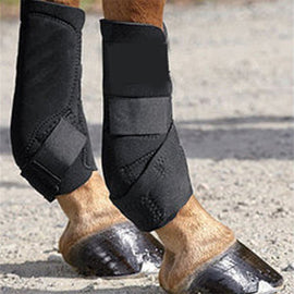 Horse Leg Protector